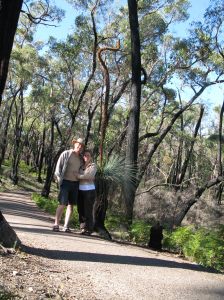 Eine dieser Widerstandsfähigen Kängeroo-Tails