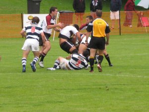 Ein Bild voller Action