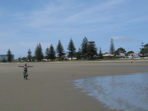 Strand mit Tannenbaum
